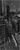 link do zdjęcia: nyc031914_31g